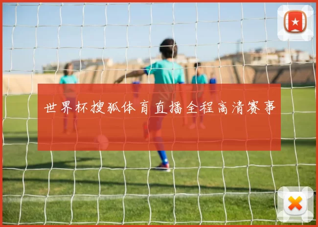 世界杯搜狐体育直播全程高清赛事