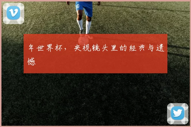 年世界杯，央视镜头里的经典与遗憾