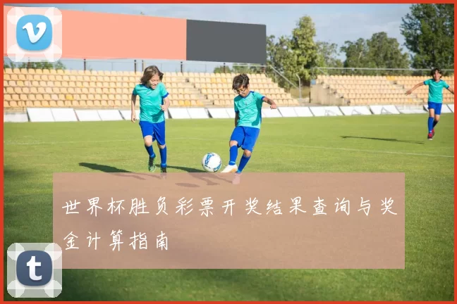 世界杯胜负彩票开奖结果查询与奖金计算指南