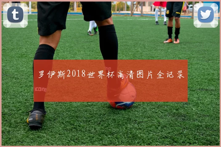 罗伊斯2018世界杯高清图片全记录