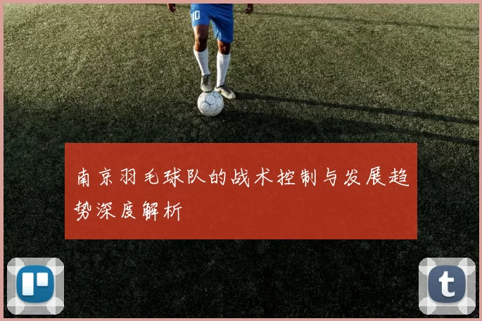 南京羽毛球队的战术控制与发展趋势深度解析