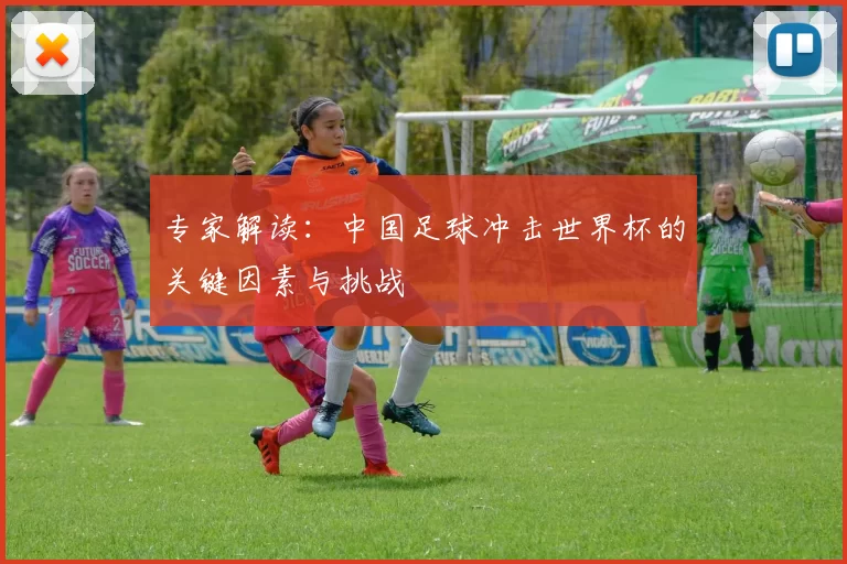 专家解读：中国足球冲击世界杯的关键因素与挑战