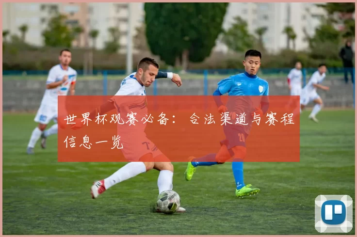 世界杯观赛必备：合法渠道与赛程信息一览
