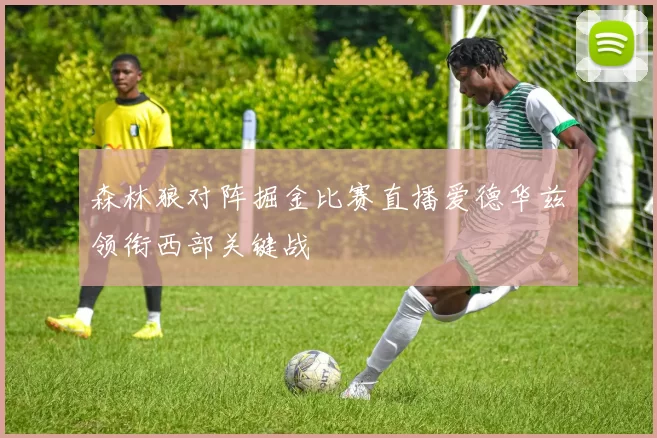 森林狼对阵掘金比赛直播爱德华兹领衔西部关键战