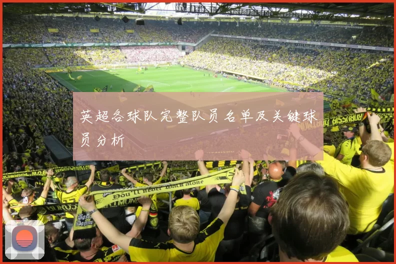 英超各球队完整队员名单及关键球员分析