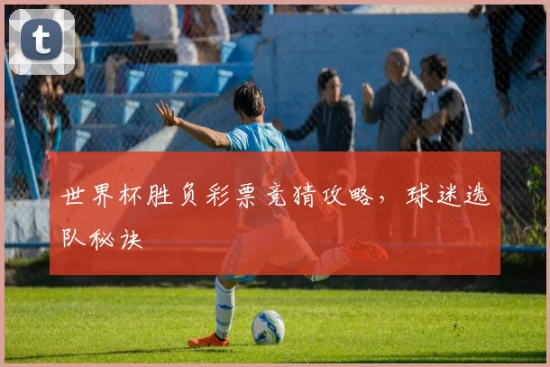 世界杯胜负彩票竞猜攻略，球迷选队秘诀