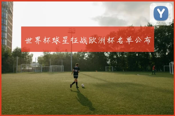 世界杯球星征战欧洲杯名单公布