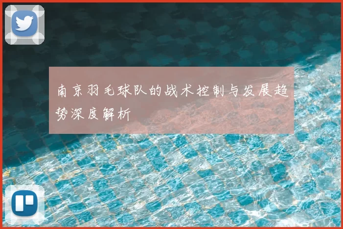 南京羽毛球队的战术控制与发展趋势深度解析