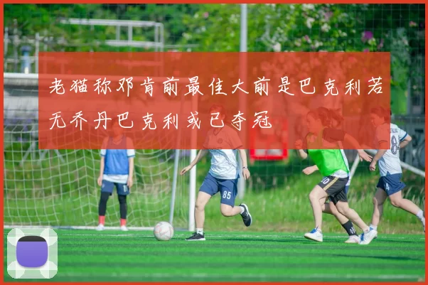 老猫称邓肯前最佳大前是巴克利若无乔丹巴克利或已夺冠