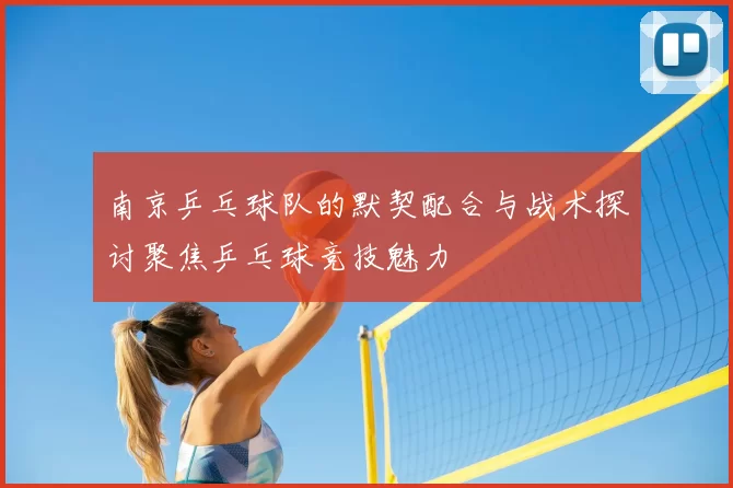 南京乒乓球队的默契配合与战术探讨聚焦乒乓球竞技魅力