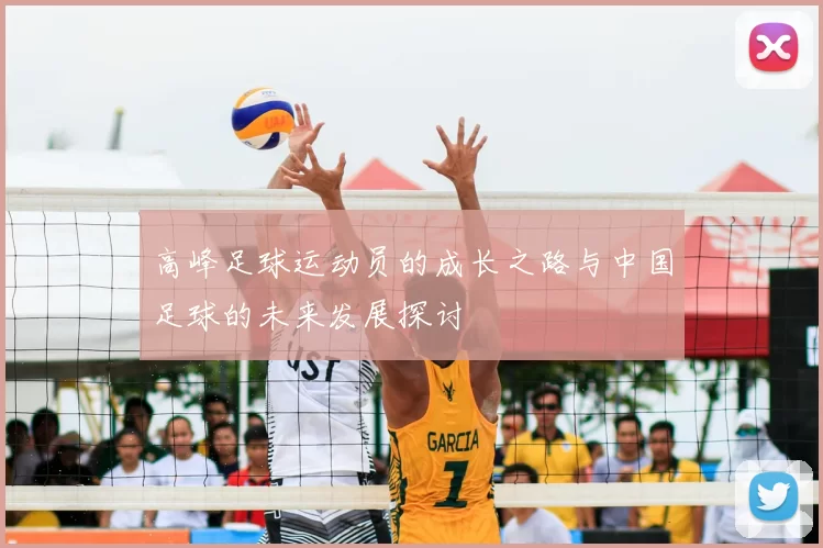 高峰足球运动员的成长之路与中国足球的未来发展探讨