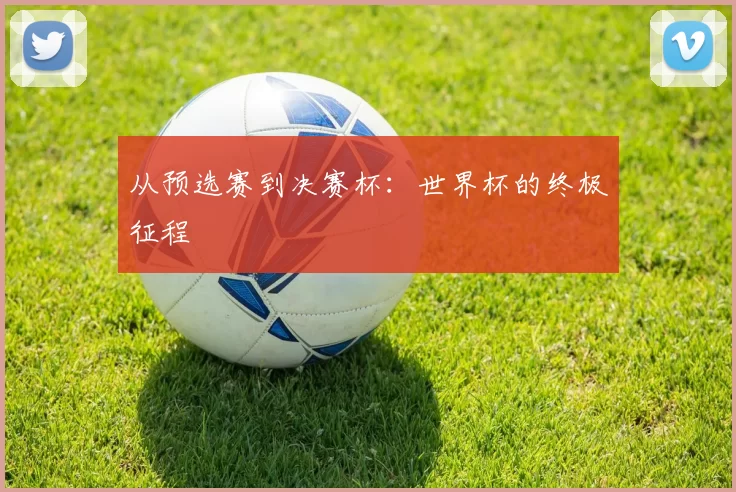 从预选赛到决赛杯：世界杯的终极征程