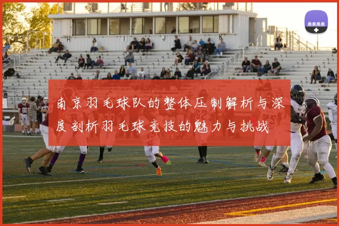 南京羽毛球队的整体压制解析与深度剖析羽毛球竞技的魅力与挑战