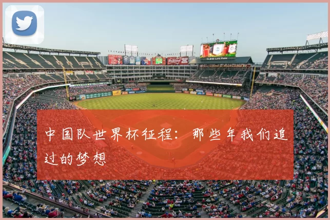 中国队世界杯征程：那些年我们追过的梦想