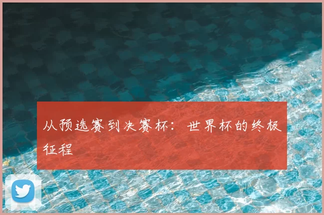 从预选赛到决赛杯：世界杯的终极征程