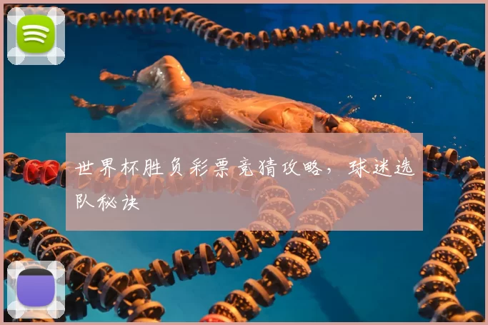 世界杯胜负彩票竞猜攻略，球迷选队秘诀