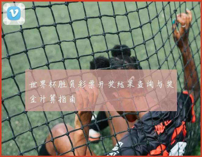世界杯胜负彩票开奖结果查询与奖金计算指南