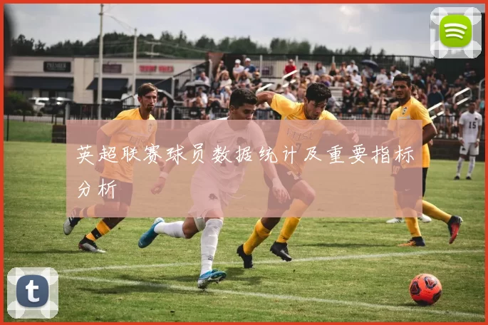 英超联赛球员数据统计及重要指标分析
