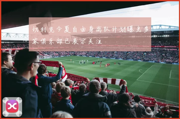 切利克今夏自由身离队计划曝光多家俱乐部已表示关注