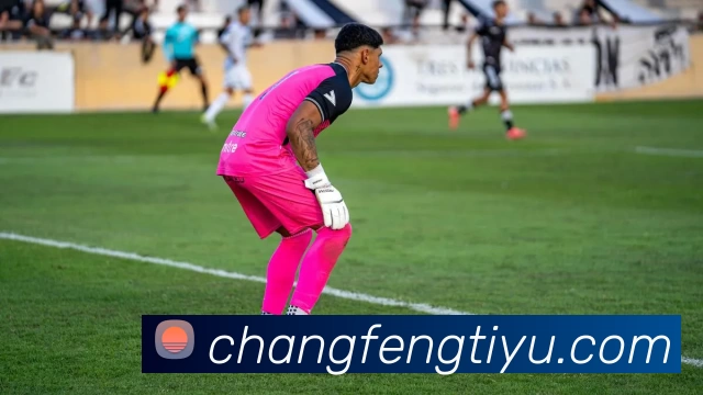 爱游戏官网APP 高清赛事图